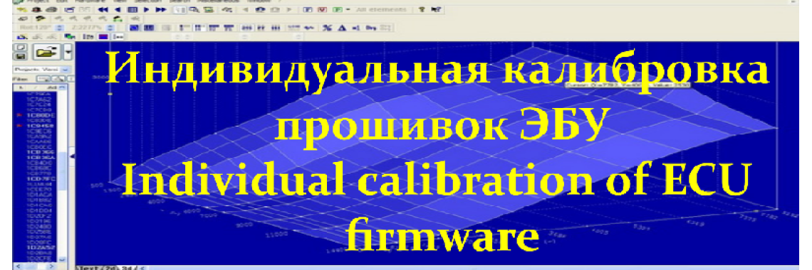 Individual calibration of ECU firmware